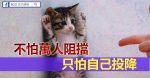 累就對了，舒服是留給死人的