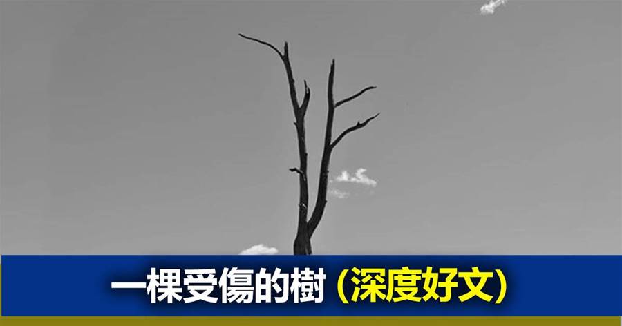 原來這就是著名的「狐貍哲學」