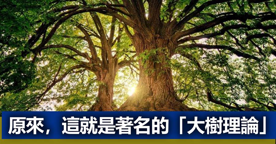 人與人之間最大的差距：「思維模式」