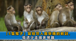 為什麼入職不到一週離職？進新公司前一定要看好，避免這3個坑