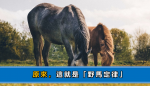原來，這就是「能力陷阱」
