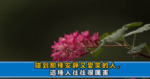 做領導，永遠記住不要說這4句話員工反感，老闆也不會重用你
