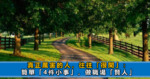 上司不合格：一般存在著這4種表現，聰明人要早做打算