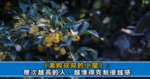 剛進入職場大家都差不多，為什麼差距越來越大？