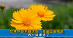 人老了，走不動了，盡快處理這三件事，是餘生最大的福氣