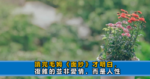 到了過年才明白，退出同學群、親戚群的人，往往是以下幾種